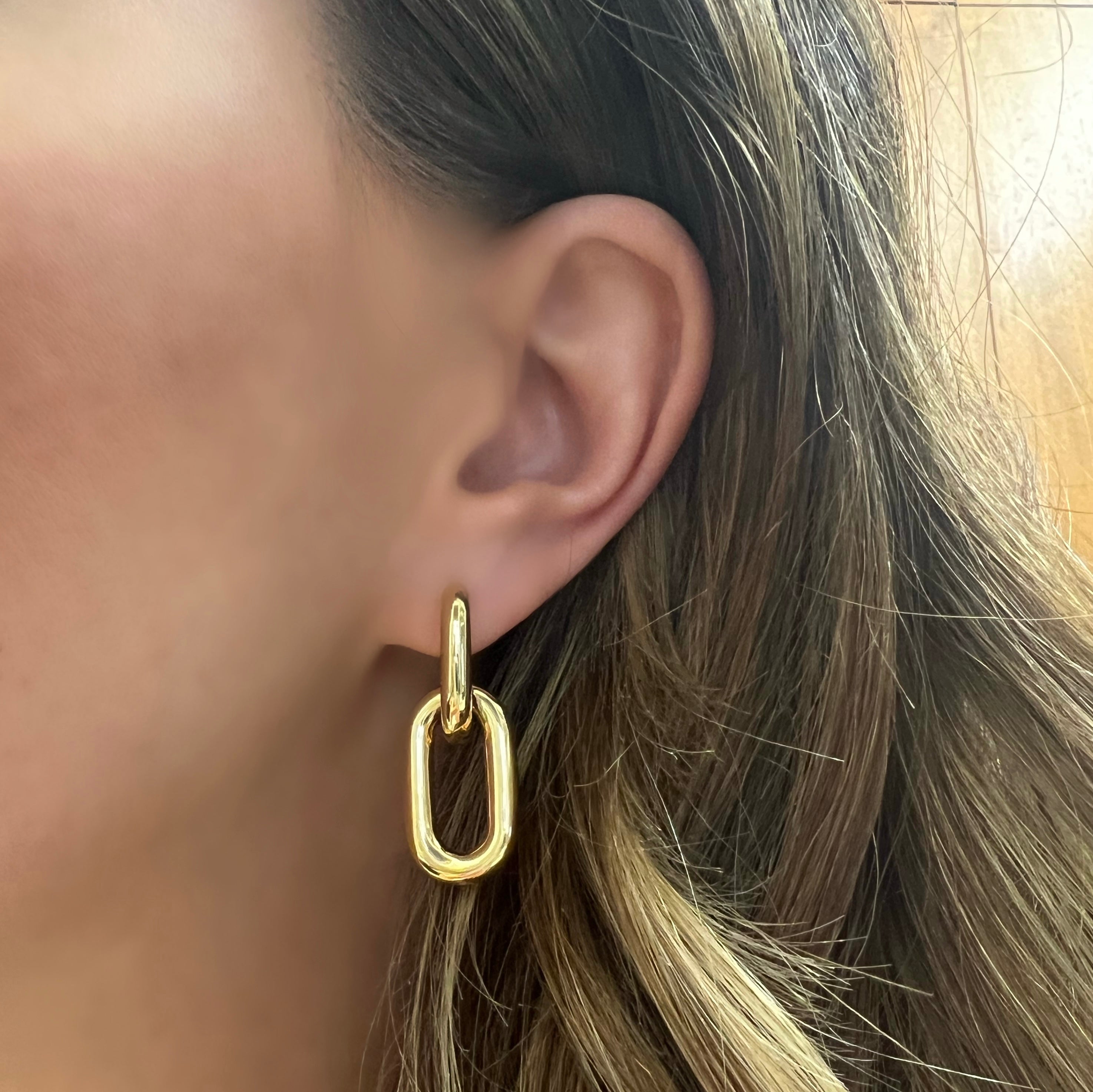 The Nina Link Earrings